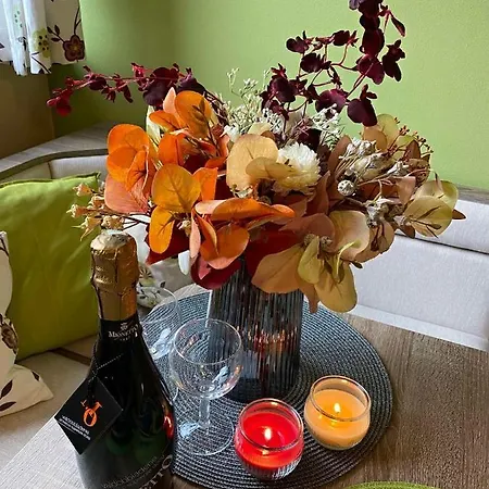 Tulanie 58 Kamzik 2 Izbovy Mezonet Deluxe Parkovanie V Podzemnej Garazi Zdarma Apartman Dóval