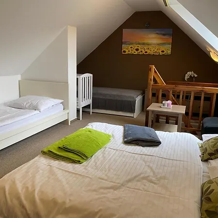 Tulanie 58 Kamzik 2 Izbovy Mezonet Deluxe Parkovanie V Podzemnej Garazi Zdarma Apartman